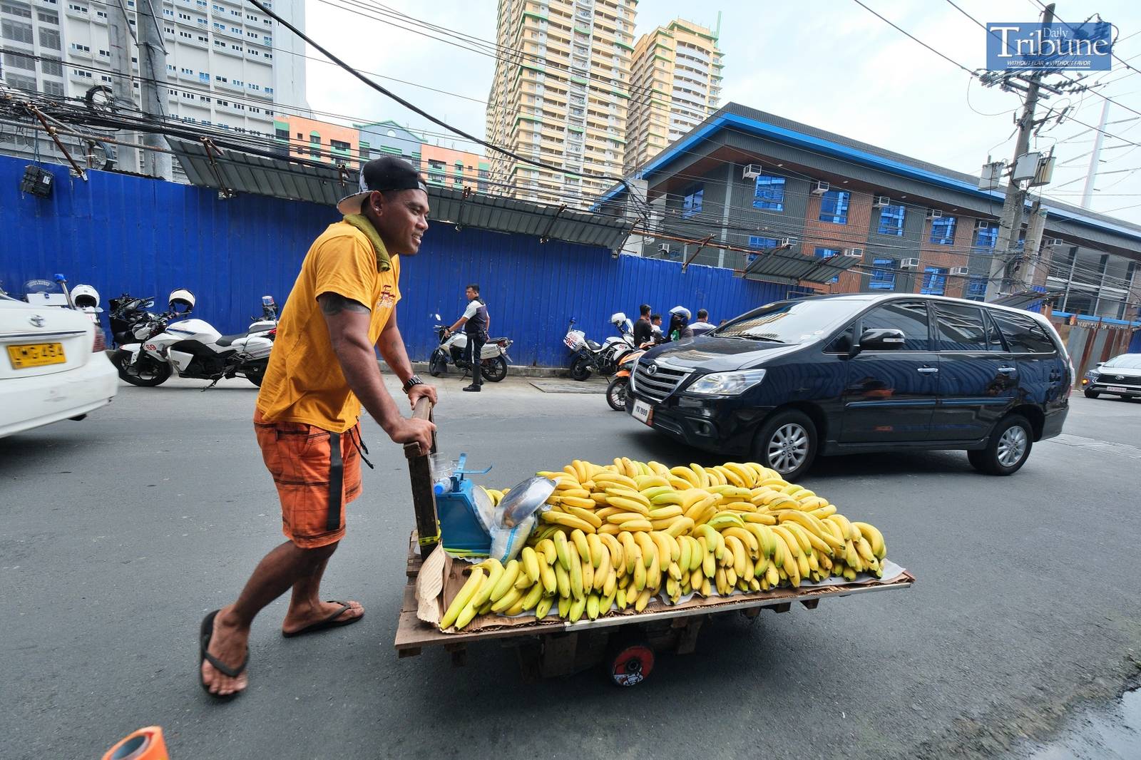 TRIBUNE-Bananas